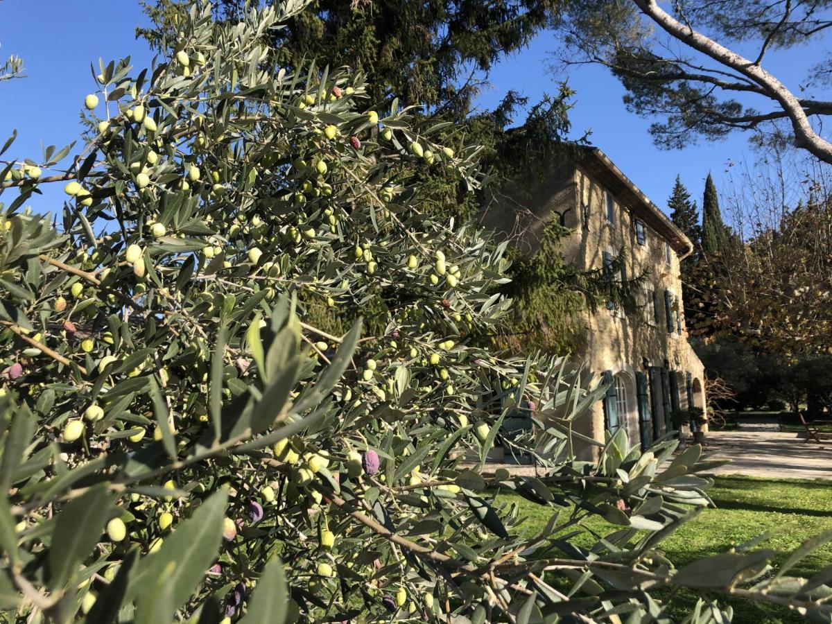 Desir De Provence Sarrians Exterior photo